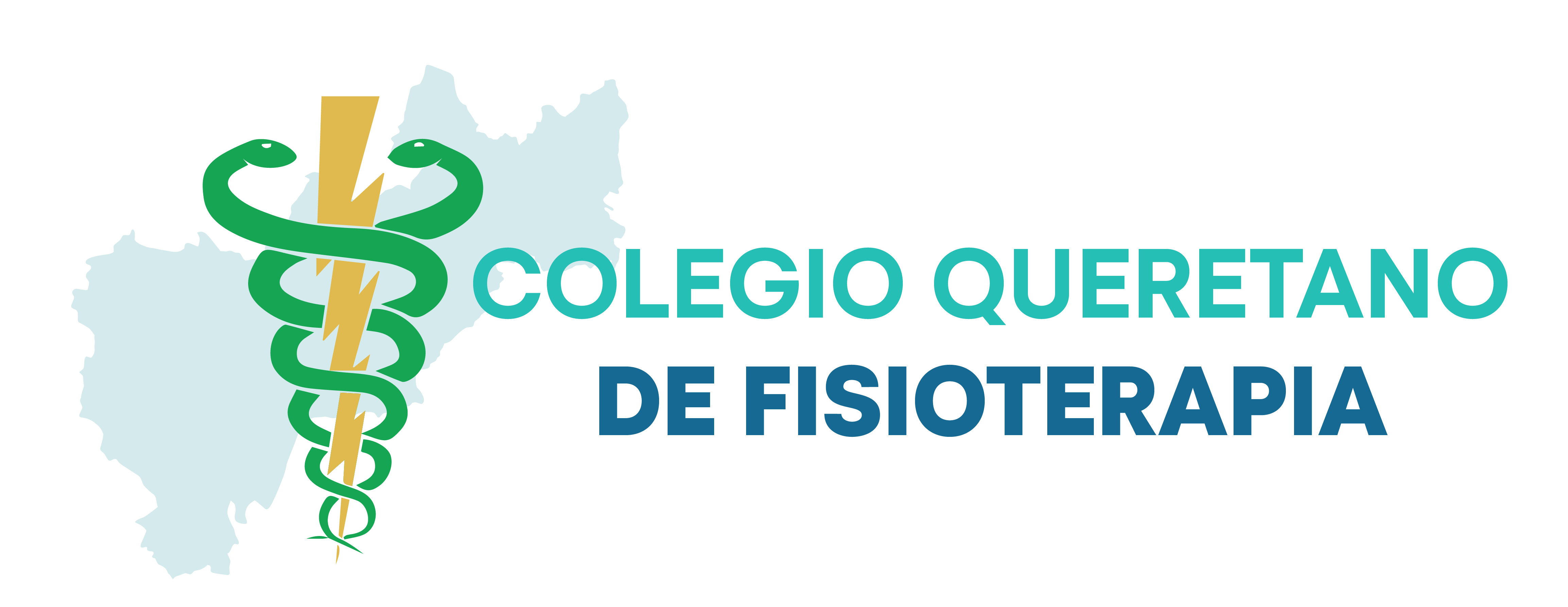 COLEGIO QUERETARO DE FISIOTERAPIA